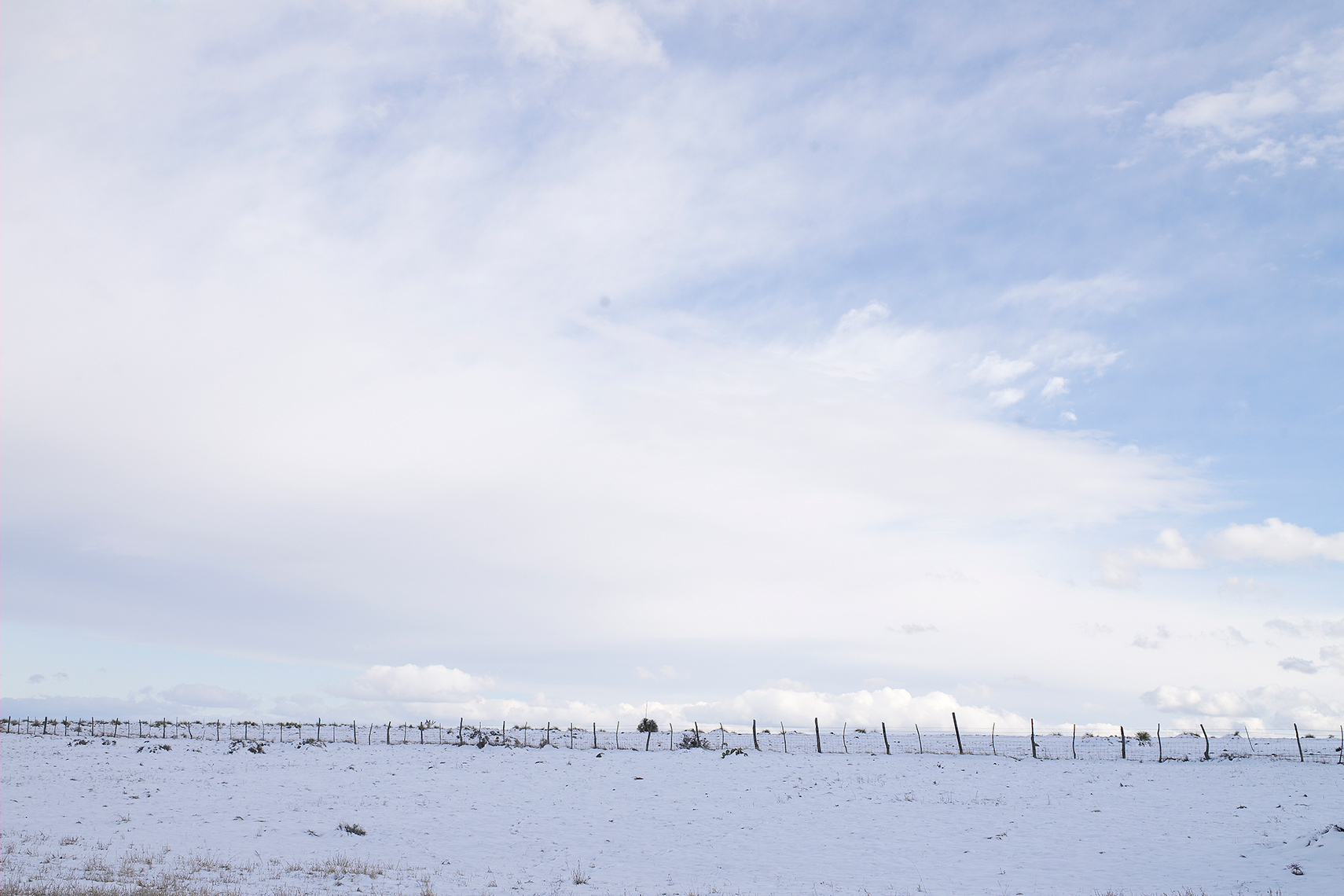 CamilleTokerud_Rural_2
