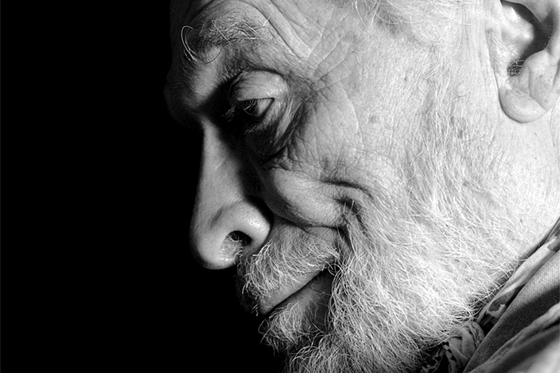 CamilleTokerud_Seniors_0158